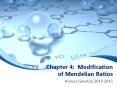 Chapter 4: Modification of Mendelian Ratios PowerPoint PPT Presentation