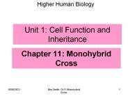 Chapter 11: Monohybrid Cross