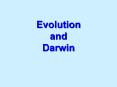 Evolution and Darwin PowerPoint PPT Presentation
