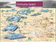 Immune team PowerPoint PPT Presentation