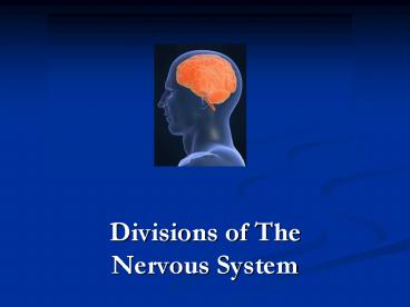 Divisions of The Nervous System