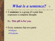 What is a sentence?
