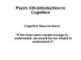 Psych 335-Introduction to Cognition PowerPoint PPT Presentation