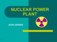 NUCLEAR POWER PLANT PowerPoint PPT Presentation