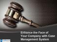 Enhance the Face of Your Company with Case Management System PowerPoint PPT Presentation