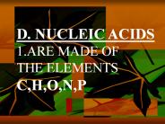 D. NUCLEIC ACIDS
