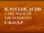D. NUCLEIC ACIDS