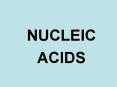 NUCLEIC PowerPoint PPT Presentation