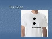 The Colon