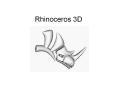 Rhinoceros 3D PowerPoint PPT Presentation