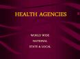 HEALTH AGENCIES PowerPoint PPT Presentation