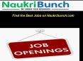 NaukriBunch - Find Jobs Online Panchkula, Chandigarh, Mohali PowerPoint PPT Presentation
