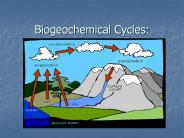 Biogeochemical%20Cycles: