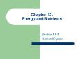 Chapter 13: Energy and Nutrients PowerPoint PPT Presentation