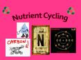 Nutrient Cycling PowerPoint PPT Presentation