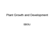 Plant Growth and Development