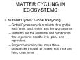 MATTER CYCLING IN ECOSYSTEMS PowerPoint PPT Presentation