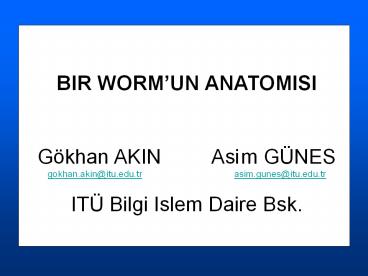 BIR WORM