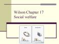 Wilson Chapter 17 Social welfare PowerPoint PPT Presentation