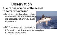 Observation