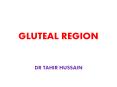 GLUTEAL REGION PowerPoint PPT Presentation