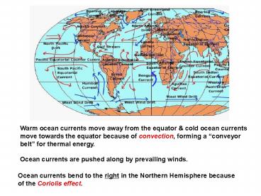 Warm ocean currents move away from the equator