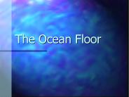 The Ocean Floor