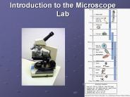 Introduction to the Microscope Lab