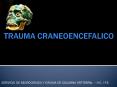 TRAUMA CRANEOENCEFALICO PowerPoint PPT Presentation