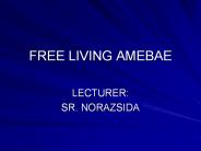 FREE LIVING AMEBAE