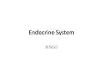 Endocrine System PowerPoint PPT Presentation