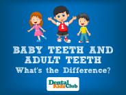Baby Teeth and Adult Teeth. What's the Difference?