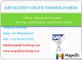 sap security online training in  mumbai PowerPoint PPT Presentation