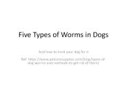 Worms In Dogs