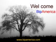 Local Business Listing Site in USA