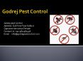 Godrej pest control Gurgaon-10% off on treatments