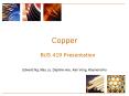 Copper PowerPoint PPT Presentation