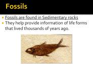 Fossils