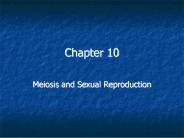 Meiosis and Sexual Reproduction