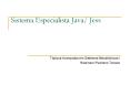 Sistema Especialista Java/ Jess PowerPoint PPT Presentation