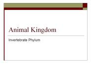 Animal Kingdom