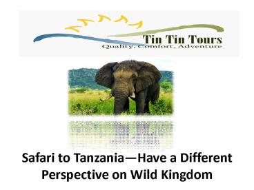 Safari to Tanzania—Have a Different Perspective on Wild Kingdom
