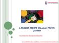 Free Project Report on Asian Paints Ltd PowerPoint PPT Presentation