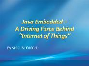 Java Embedded System