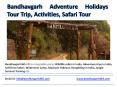 Bandhavgarh Adventure Holidays Tour Trip, Activities, Safari Tour PowerPoint PPT Presentation