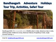 Bandhavgarh Adventure Holidays Tour Trip, Activities, Safari Tour