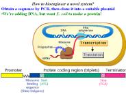 How to bioengineer a novel system?