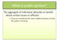 What is public opinion? PowerPoint PPT Presentation