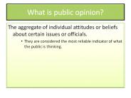 What is public opinion?
