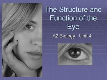 The Structure and Function of the Eye